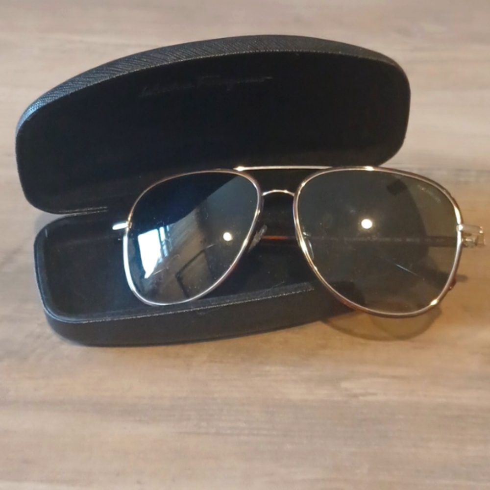 Salvatore Ferragamo Mens Polarized Sunglasses